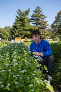 A white male student with short brown hair kneels in a garden with an assortment of greenery surrounding him. He wears a blue long-sleeved shirt with a white sycamore leaf on the front.